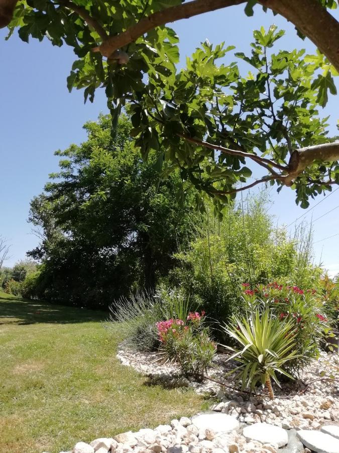Le Gite Du Moulin Lagardelle-sur-Lèze Exteriör bild