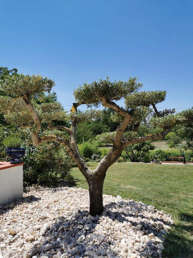 Le Gite Du Moulin Lagardelle-sur-Lèze Exteriör bild